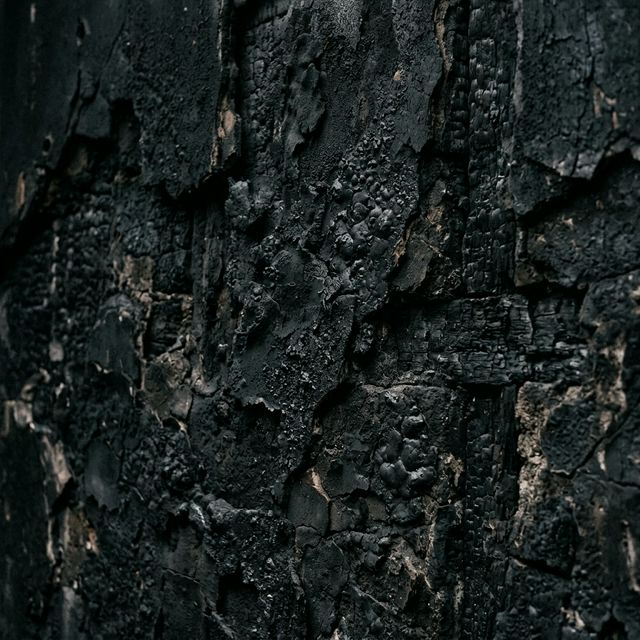 화재 응급 가이드